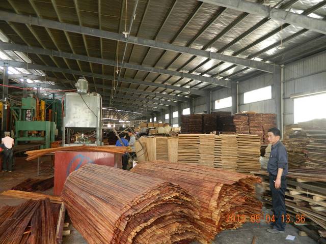 竹加工新篇章 綠色創新與可持續發展